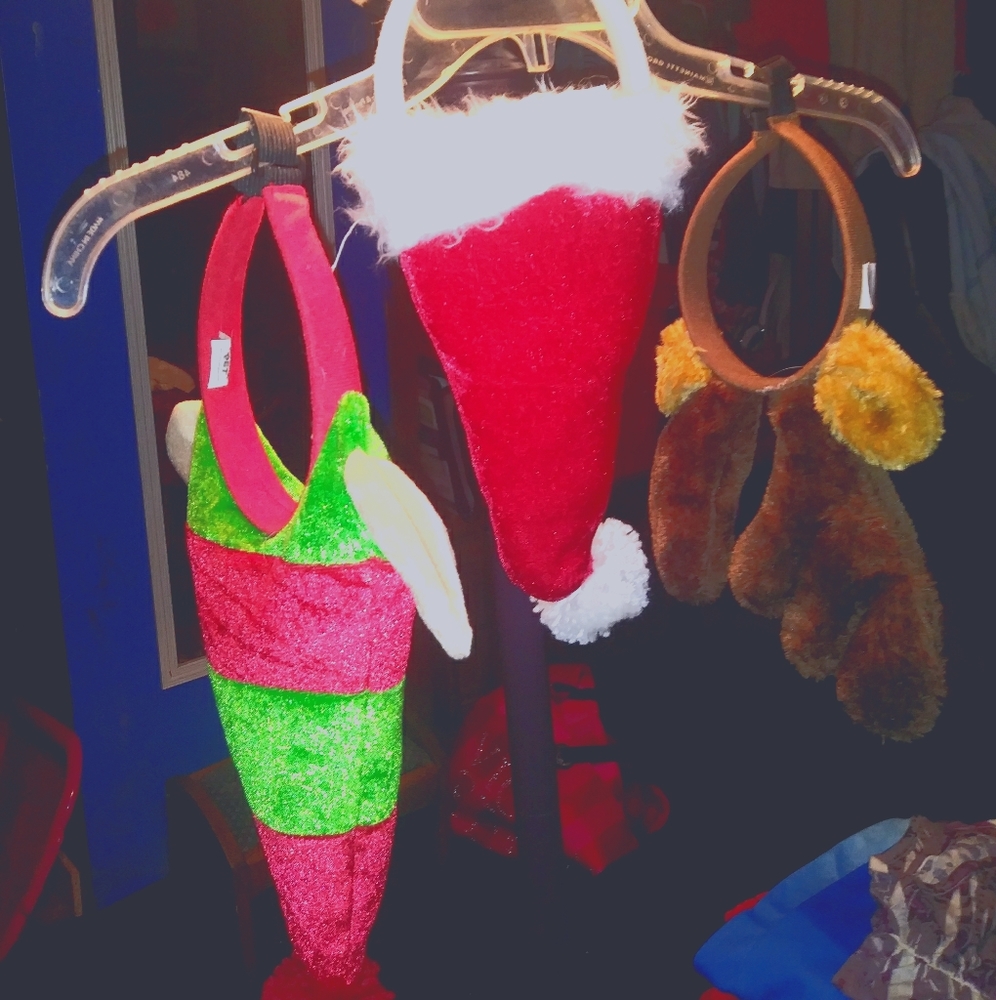 Dog Christmas hats